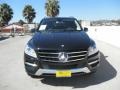 Black - ML 350 4Matic Photo No. 2