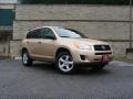 2009 Sandy Beach Metallic Toyota RAV4 I4  photo #1