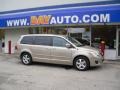 Blonde Maple 2009 Volkswagen Routan SE