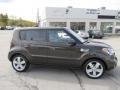 2010 Java Brown Kia Soul !  photo #2