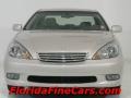 Millennium Silver Metallic - ES 330 Photo No. 5