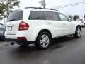 Arctic White - GL 450 4Matic Photo No. 4