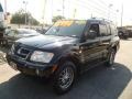 2006 Midnight Black Mitsubishi Montero Limited 4x4  photo #3