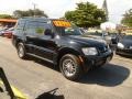 2006 Midnight Black Mitsubishi Montero Limited 4x4  photo #6