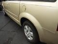 2010 White Gold Pearl Dodge Grand Caravan SE  photo #4