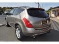 Polished Pewter Metallic - Murano SL AWD Photo No. 2