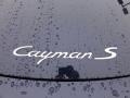 Midnight Blue Metallic - Cayman S Photo No. 22