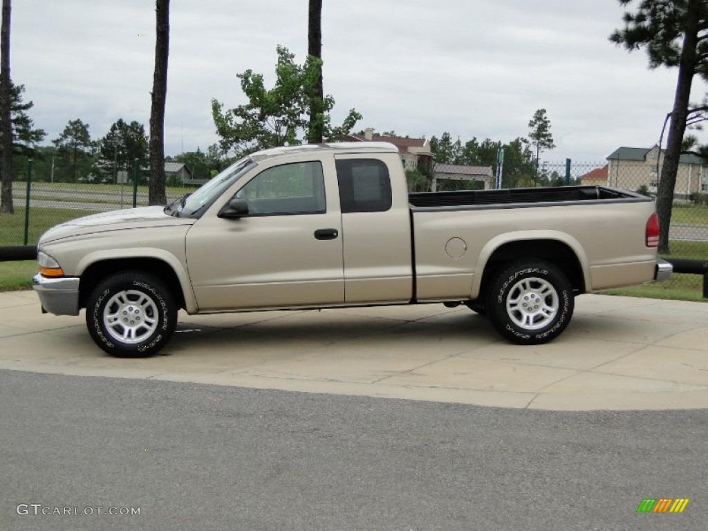 2003 Dodge Dakota SLT Club Cab Exterior Photos