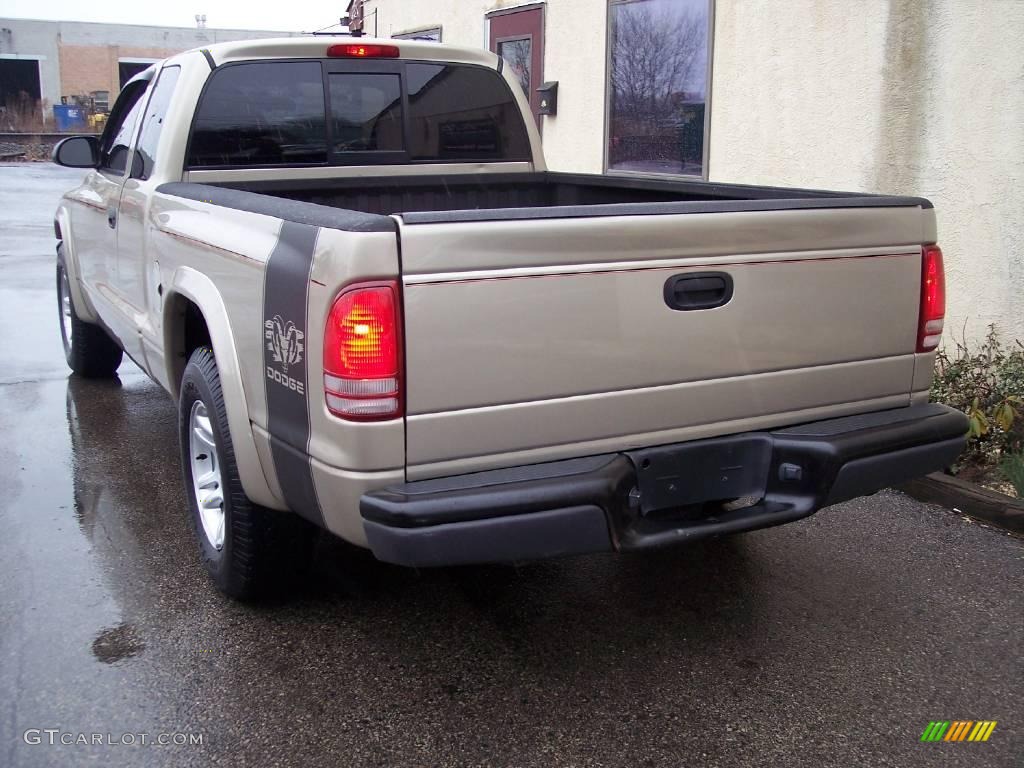 2004 Dakota SXT Club Cab - Light Almond Pearl Metallic / Dark Slate Gray photo #14