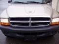 2004 Light Almond Pearl Metallic Dodge Dakota SXT Club Cab  photo #23