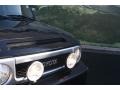 Black Diamond - FJ Cruiser 4WD Photo No. 22