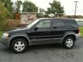 Black Clearcoat - Escape XLT V6 4WD Photo No. 1