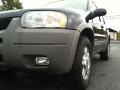 2002 Black Clearcoat Ford Escape XLT V6 4WD  photo #2