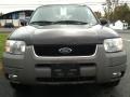 2002 Black Clearcoat Ford Escape XLT V6 4WD  photo #3