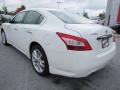 Winter Frost White - Maxima 3.5 S Photo No. 3