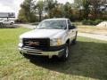 Quicksilver Metallic - Sierra 1500 Regular Cab Photo No. 3