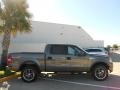 2004 Dark Shadow Grey Metallic Ford F150 FX4 SuperCrew 4x4  photo #8