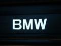 2006 Black Sapphire Metallic BMW 3 Series 330i Sedan  photo #37