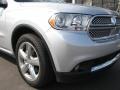 Bright Silver Metallic - Durango Citadel Photo No. 2