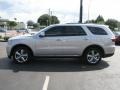 Bright Silver Metallic - Durango Citadel Photo No. 6