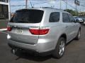 Bright Silver Metallic - Durango Citadel Photo No. 9
