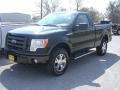 Black - F150 STX Regular Cab 4x4 Photo No. 11