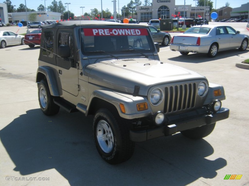 2004 Wrangler Sahara 4x4 - Light Khaki Metallic / Khaki photo #7