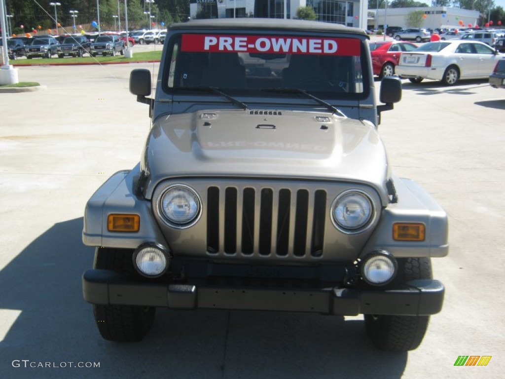 2004 Wrangler Sahara 4x4 - Light Khaki Metallic / Khaki photo #8
