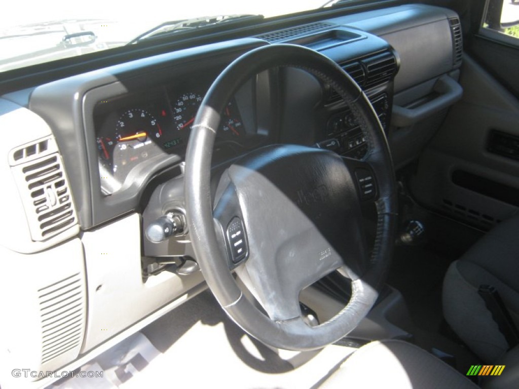 2004 Wrangler Sahara 4x4 - Light Khaki Metallic / Khaki photo #10