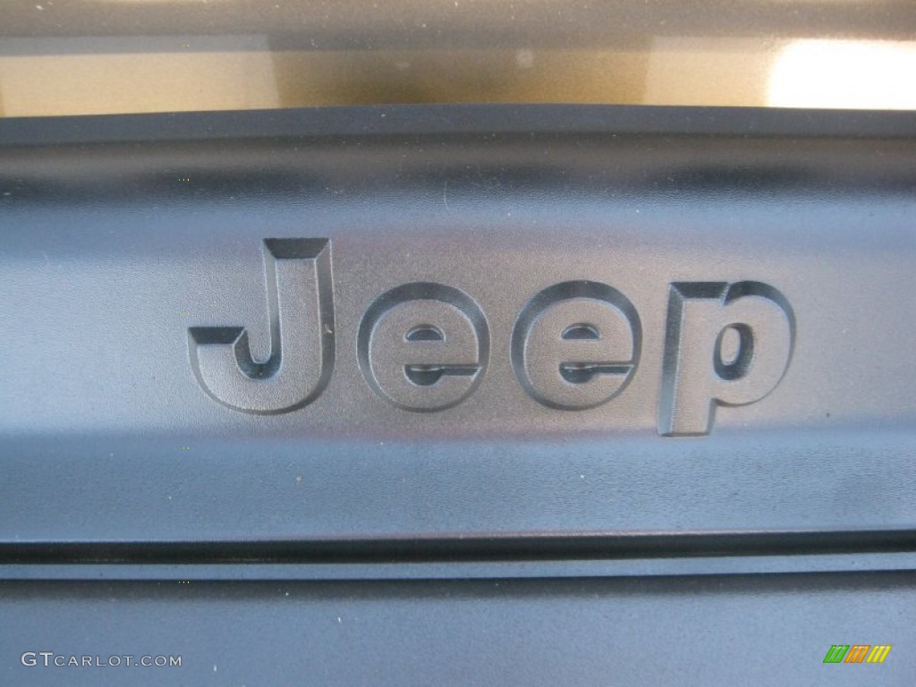 2004 Wrangler Sahara 4x4 - Light Khaki Metallic / Khaki photo #21