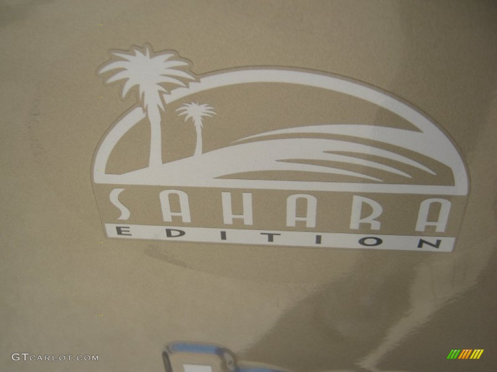 2004 Wrangler Sahara 4x4 - Light Khaki Metallic / Khaki photo #22