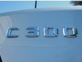 2010 Iridium Silver Metallic Mercedes-Benz C 300 Sport  photo #9