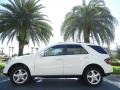 Arctic White - ML 350 4Matic Photo No. 1