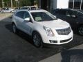 Platinum Ice Tricoat - SRX Performance Photo No. 6