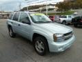 2007 Moondust Metallic Chevrolet TrailBlazer LS 4x4  photo #7