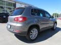 2010 Alpine Grey Metallic Volkswagen Tiguan SEL  photo #5