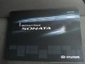 Radiant Silver - Sonata GLS Photo No. 18