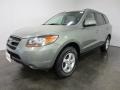 Natural Khaki Green - Santa Fe GLS Photo No. 1