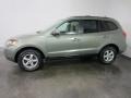Natural Khaki Green - Santa Fe GLS Photo No. 3
