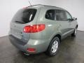 Natural Khaki Green - Santa Fe GLS Photo No. 9