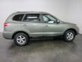 Natural Khaki Green - Santa Fe GLS Photo No. 11