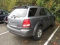 Alpine Gray - Sorento EX 4WD Photo No. 2