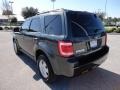 Black Pearl Slate Metallic - Escape XLT Photo No. 3