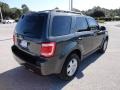 Black Pearl Slate Metallic - Escape XLT Photo No. 9
