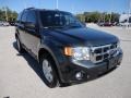 Black Pearl Slate Metallic - Escape XLT Photo No. 11