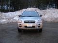 2007 Platinum Metallic Hyundai Tucson GLS  photo #7