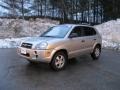 Platinum Metallic - Tucson GLS Photo No. 8