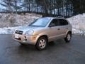 2007 Platinum Metallic Hyundai Tucson GLS  photo #8