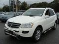 Alabaster White - ML 350 4Matic Photo No. 3