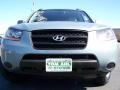 2008 Platinum Sage Hyundai Santa Fe GLS  photo #3